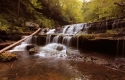 Photography of Bob Timmerman